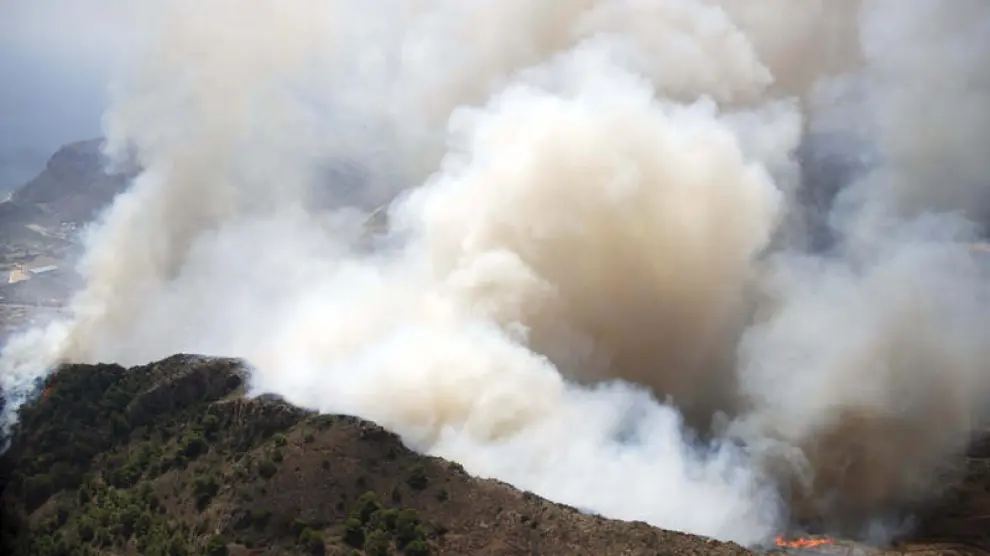 Incendio en el paraje del Pico del Águila