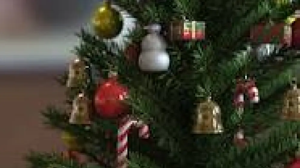 El árbol de Navidad puede tener una segunda vida
