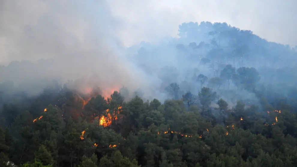 Incendio declarado el jueves en una zona de pinar de Valderrobres