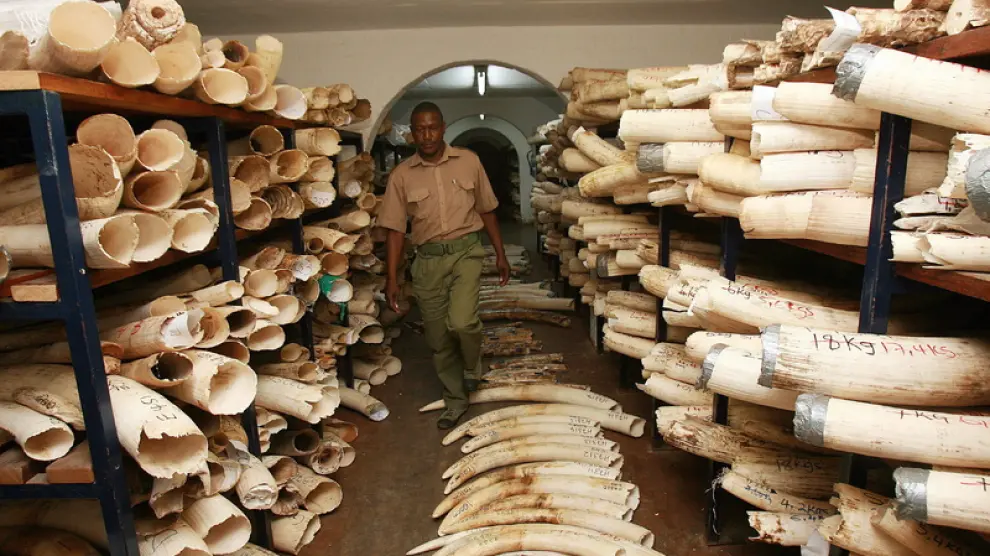 En los mercados minoristas de China y Tailandia se vende el marfil ilegal procedente de África