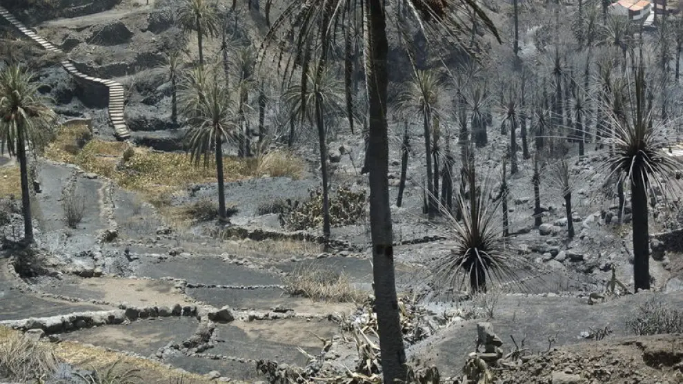 El fuego en La Gomera ha arrasado parte del parque de Garajonay