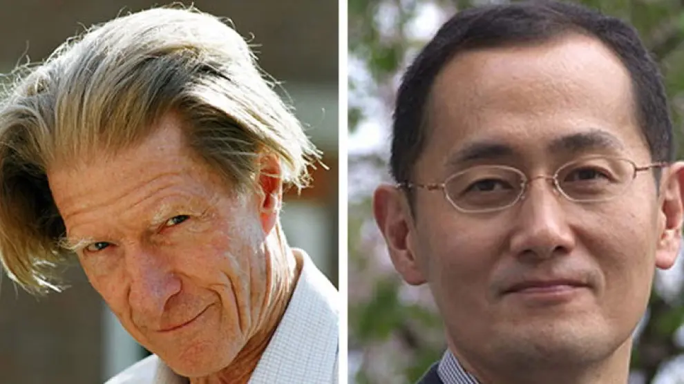 Dos investigadores de las células madre, Nobel de Medicina 2012