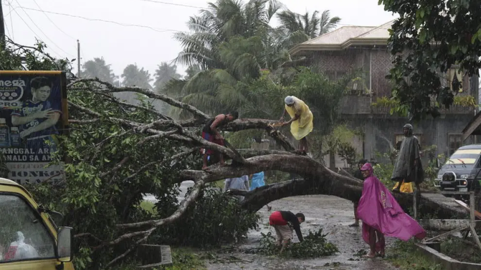 Un grupo de personas intenta cortar las ramas de un arbol caído por el temporal.