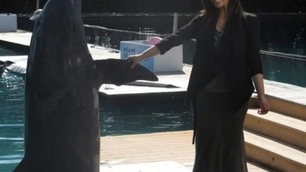 Kim junto a un delfin