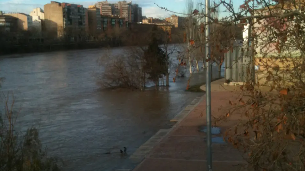 El Ebro a su paso por Zaragoza esta mañana