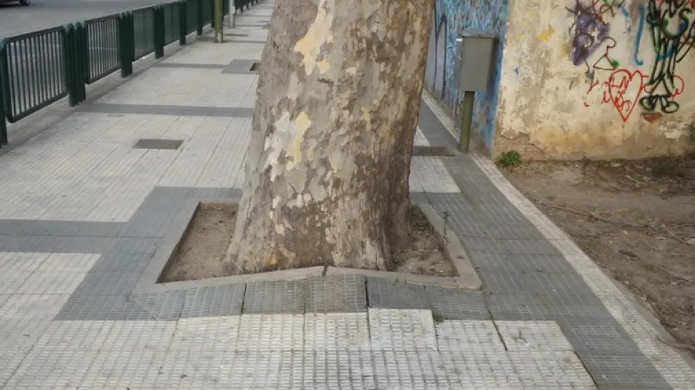 Aceras de la avenida de Martínez Velasco