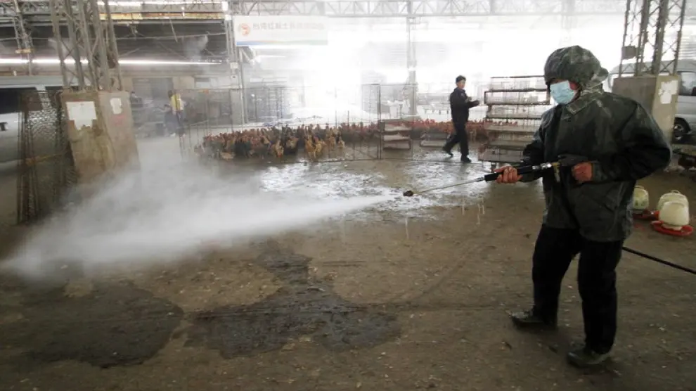Casos de gripe aviar en China.