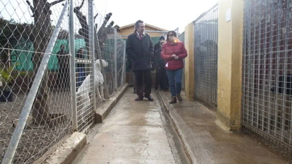 Visita de Belloch al Centro de Protección Animal de Peñaflor en enero