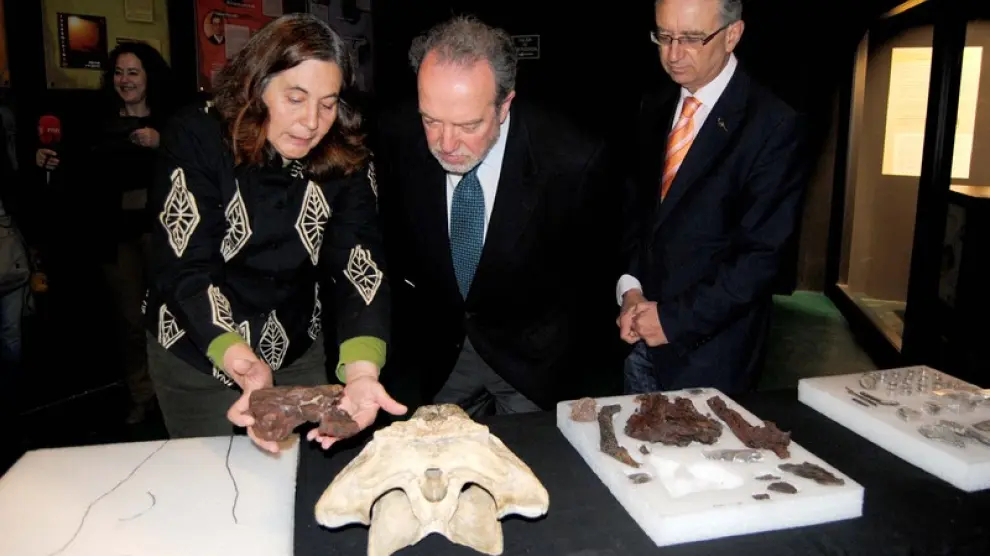 Presentación del nuevo cráneo de cocodrilo encontrado en Ariño