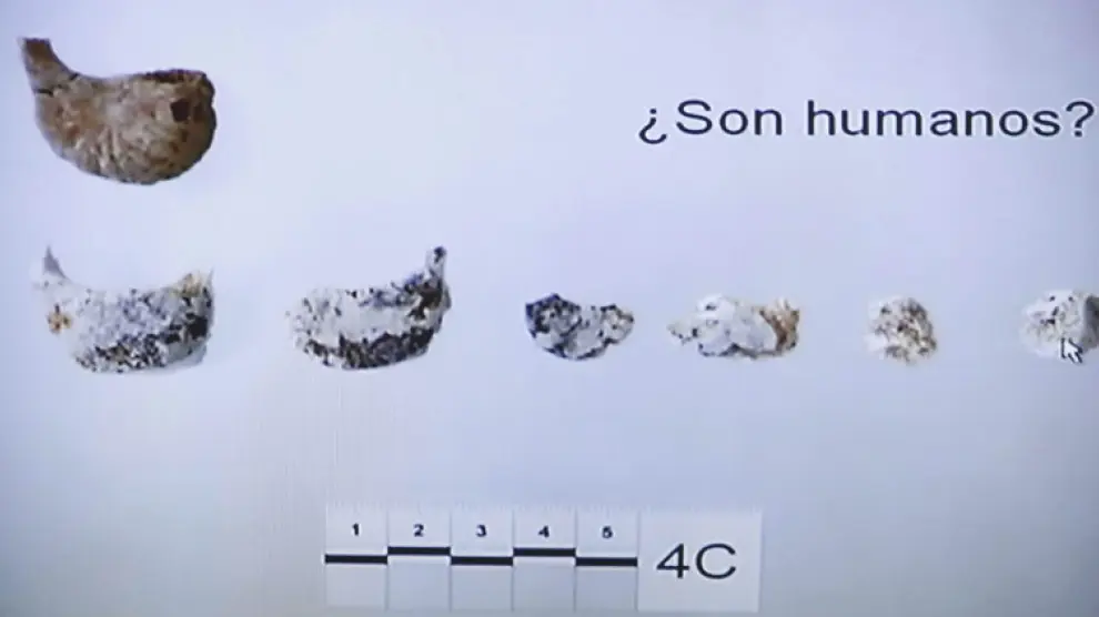 Imagen de los restos óseos que se ha mostrado en el juicio contra Bretón
