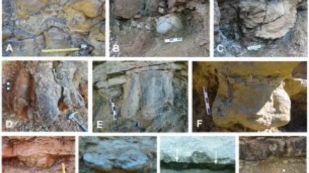 Pisadas fósiles de los dinosaurios más modernas de Europa