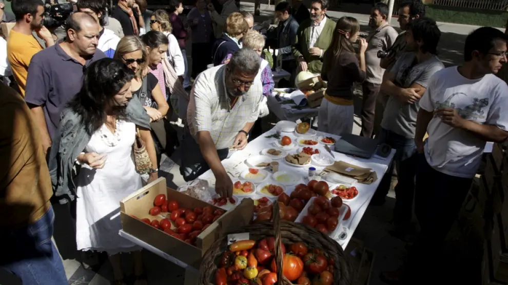 Una tomatada popular organizada por Slow Food en la plaza de San Pedro Nolasco