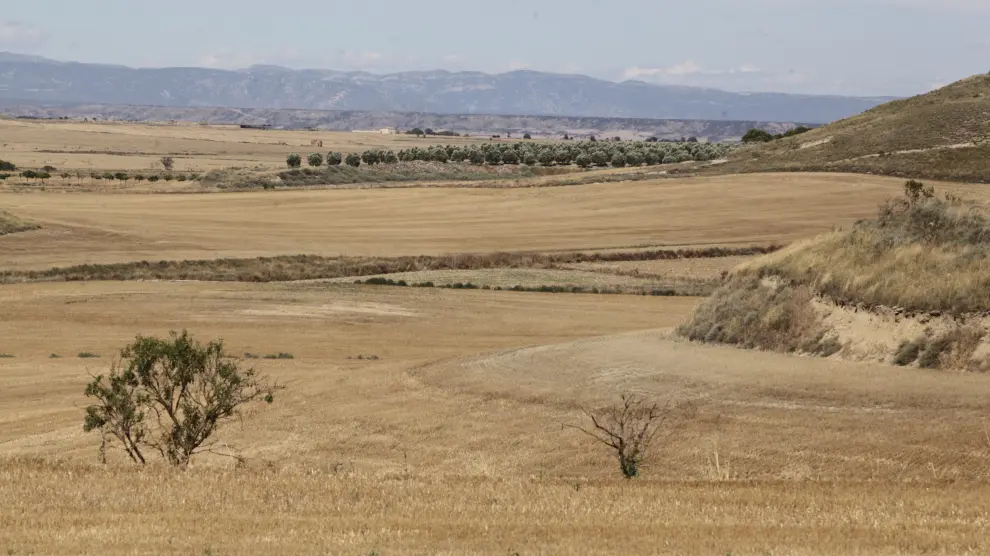 Los terrenos donde se construirá el embalse de Almudévar