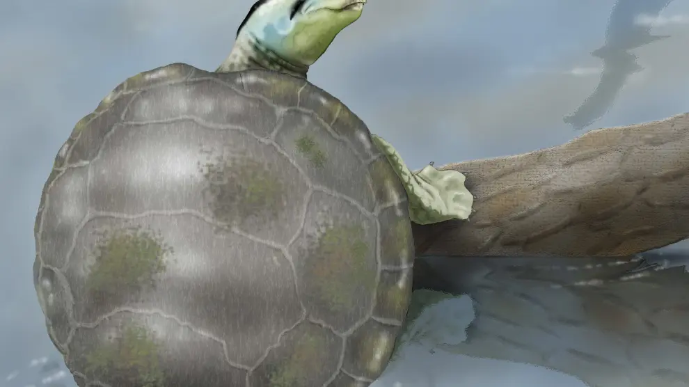 Una tortuga de 140 millones de años