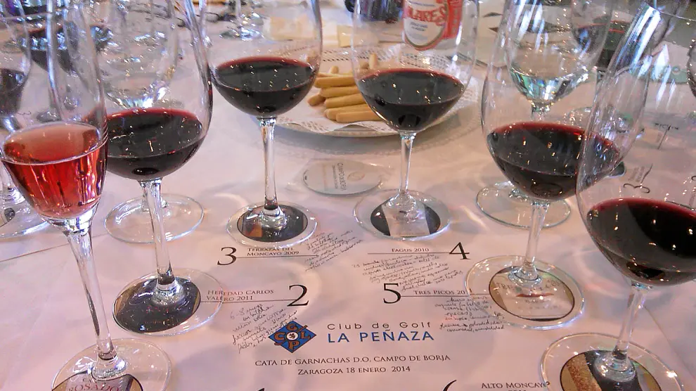 Los seis vinos de la D. O. Campo de Borja que se cataron en La Peñaza