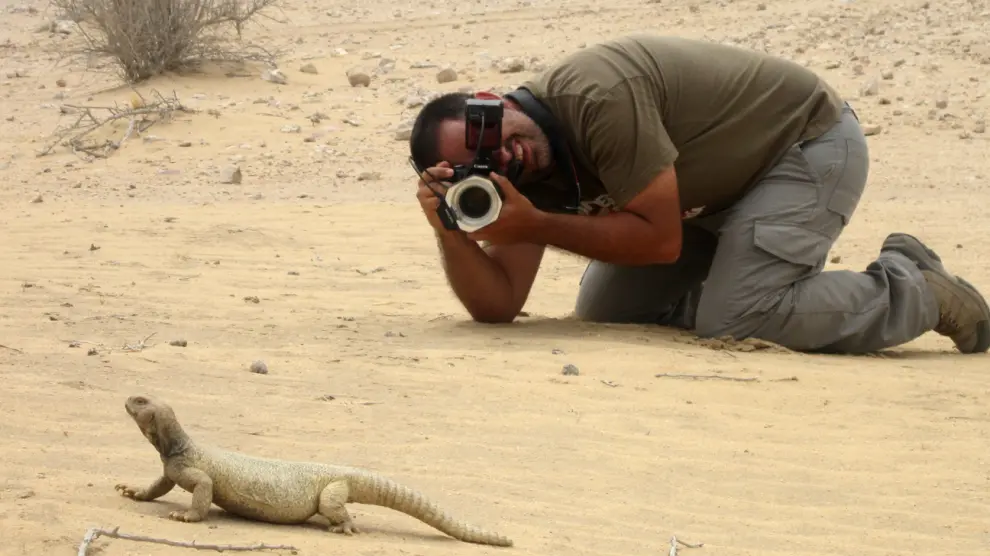 Aitor Valdeón, fotografiando un lagarto de cola espinosa