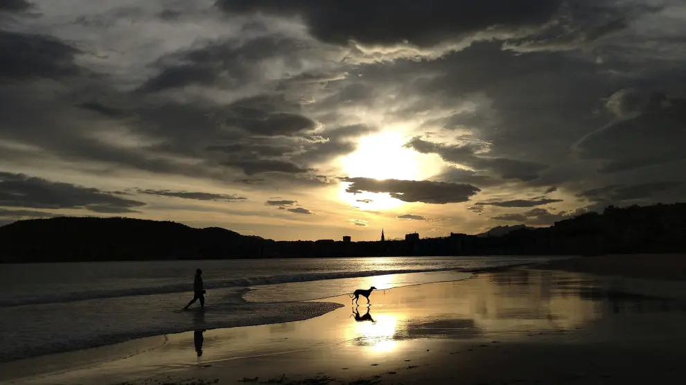 Dos perros juegan al amanecer en la playa de Ondarreta