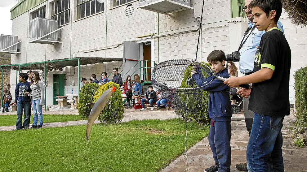 Varios de los participantes en un concurso infantil de pesca, ayer, en la feria de Illueca.