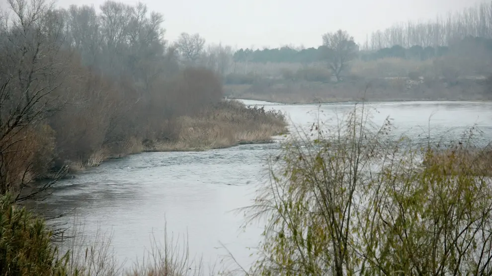 Río Cinca a su paso por Zaidín
