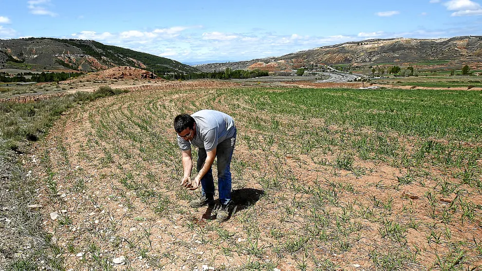 El sector agrícola aragonés el más afectado por la decisión de Rusia de no importar