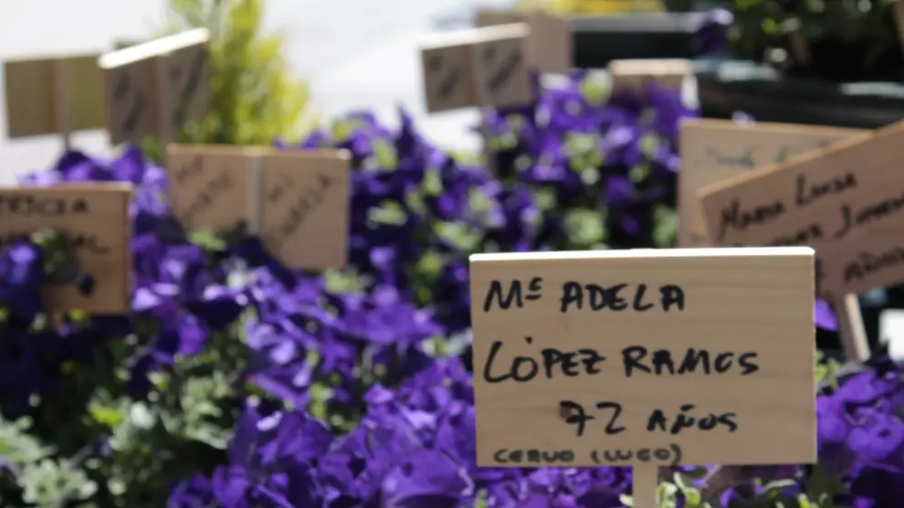 Homenaje a las 26 mujeres asesinadas por la violencia machista en España en 2014