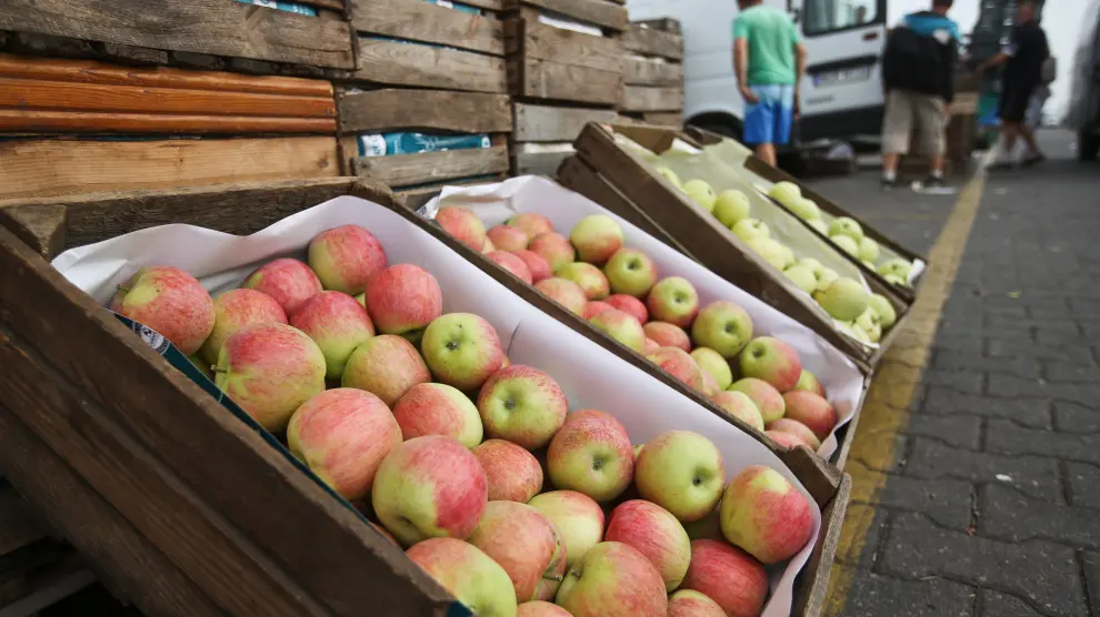 Los productores de fruta en Aragón pierden un 35% de su renta por el veto ruso