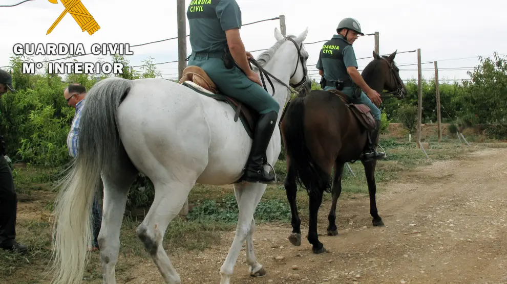 Caballos que han reforzado a la Guardia Civil de Teruel