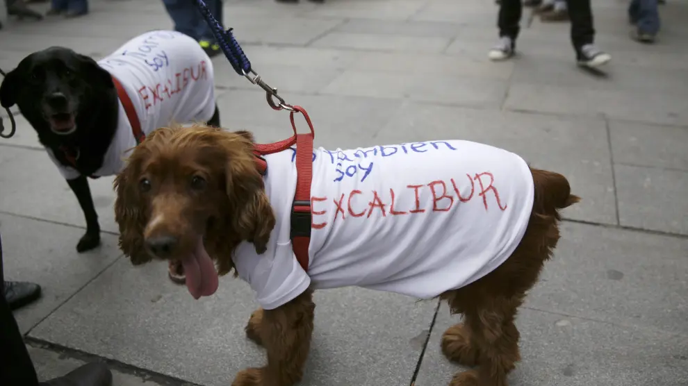 Dos perros con mensajes contra el sacrificio de Excalibur, en una protesta