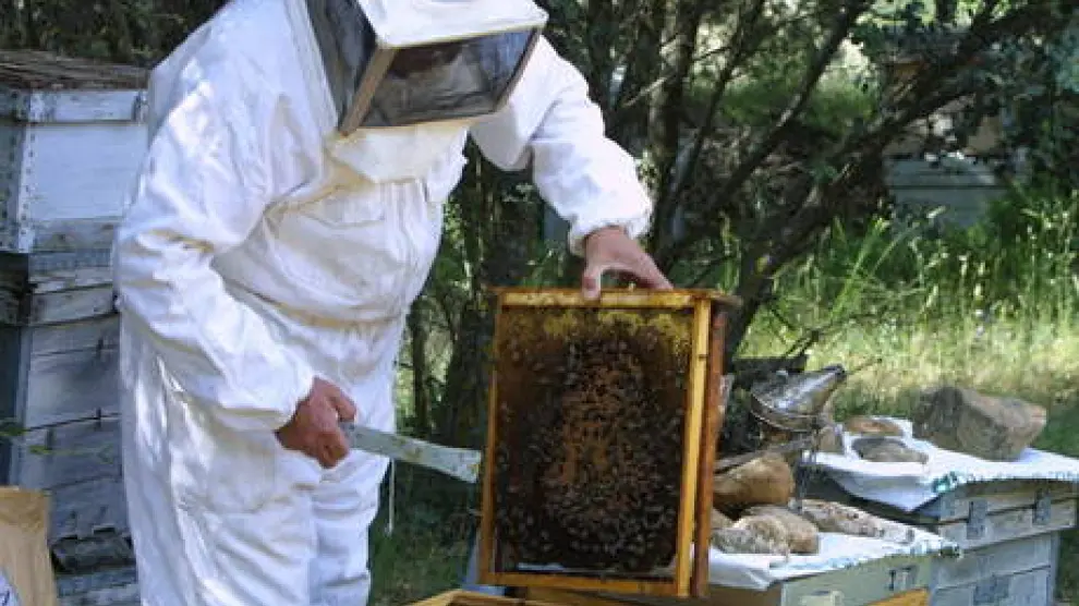Un apicultor trabaja en sus colmenas