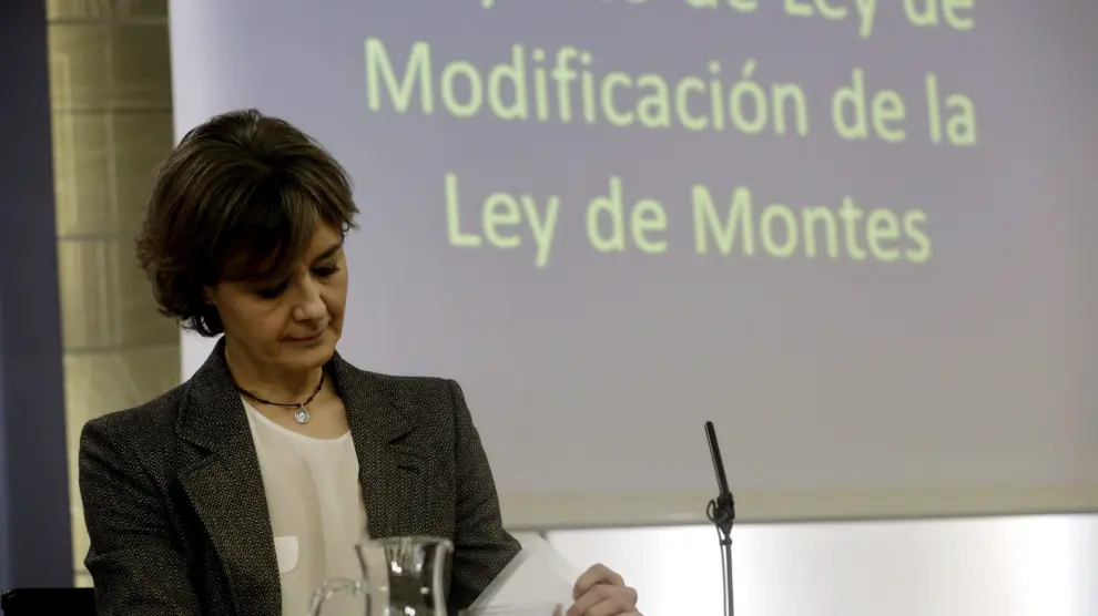 Isabel García Tejerina, después del Consejo de Ministros