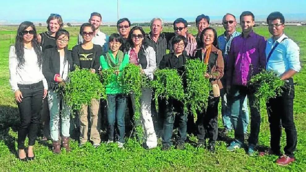 Expositor de los productores españoles de alfalfa deshidratada en la feria de Quindao, China.