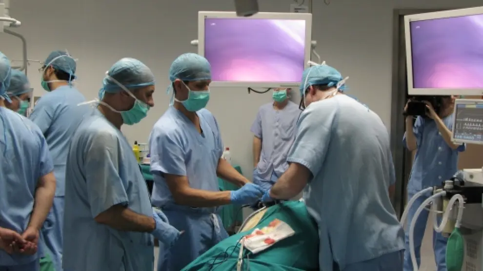 Cirujanos en el quirófano del Centro de Investigación Biomédica de Aragón.