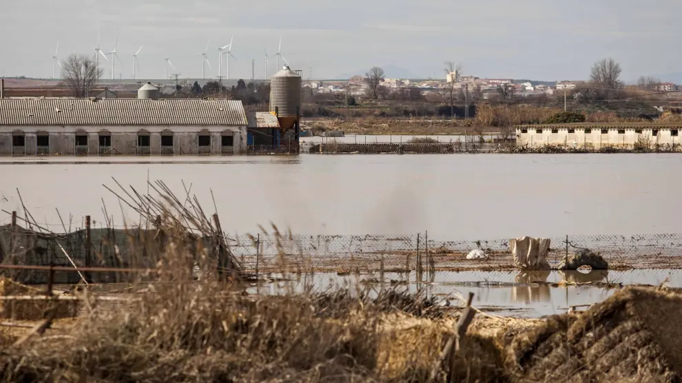 Terrenos anegados por el Ebro este domingo
