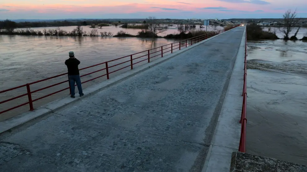 Un hombre mira el río en Quinto de Ebro