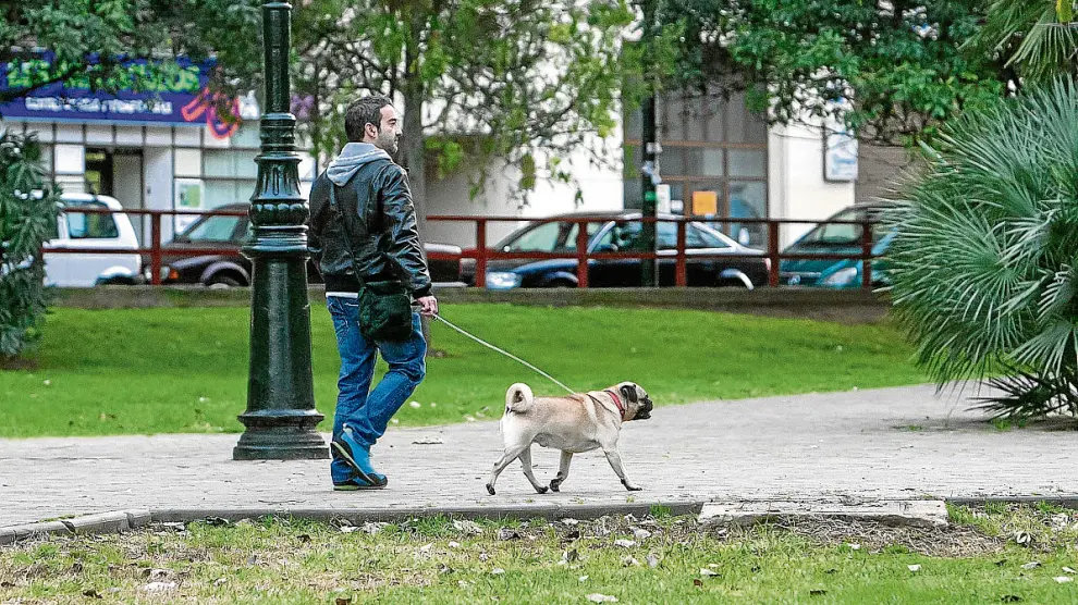 El Ayuntamiento estudia crear un banco de ADN para facilitar la identificación de los perros