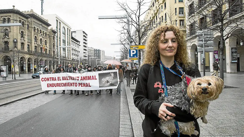 Protesta para lograr endurecer las penas por maltrato animal