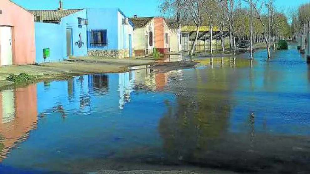 Fotografía de la arboleda y de la zona de las piscinas de Pina de Ebro tomada por Mariam Gabasa Mateos, alumna 3º de ESO del Colegio Santa María de la Esperanza.