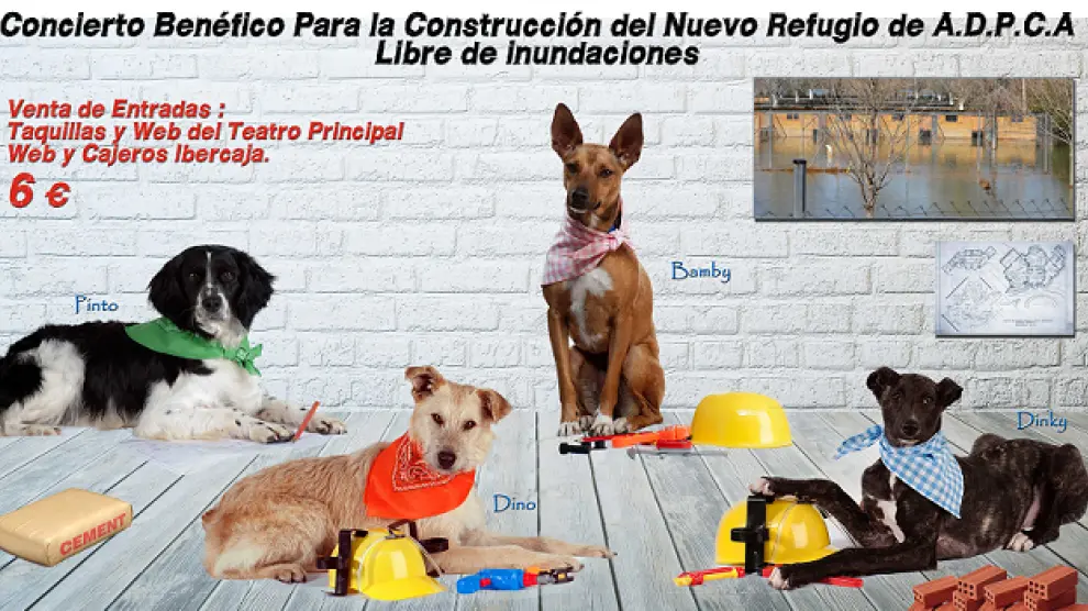 Concierto benéfico para financiar las obras de un nuevo refugio para perros en Peñaflor