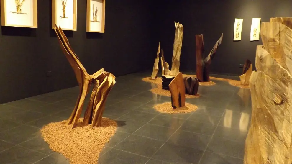 Exposición de Mario Molins en el Matadero, en Huesca.
