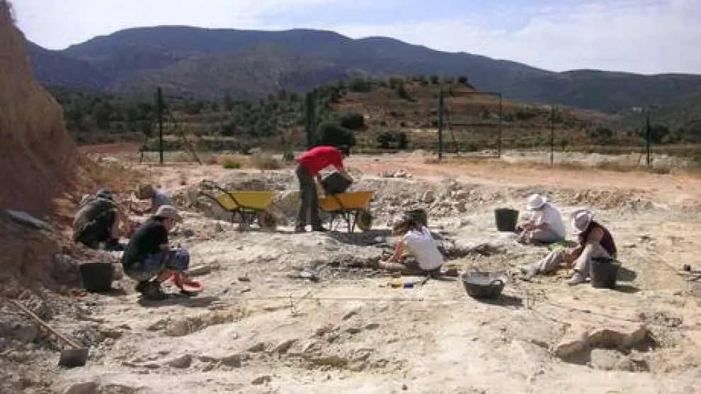 Trabajos paleontológicos en el yacimiento Barrihonda-El Humero