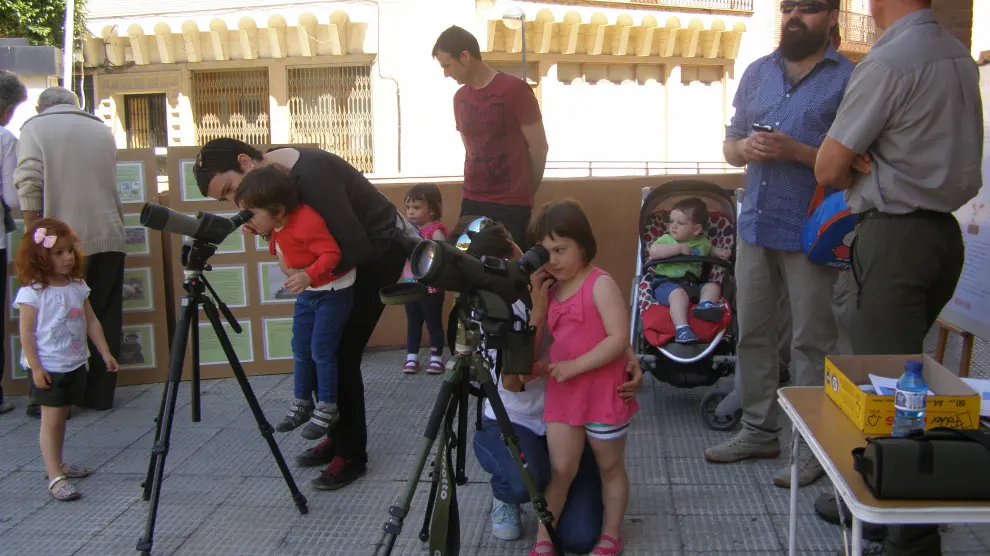 Varios niños miran por los telescopios para ver de cerca a las cigüeñas.