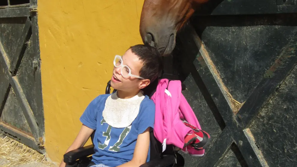 Desde 2004, Araprode organiza campamentos de hipoterapia para personas con discapacidad.
