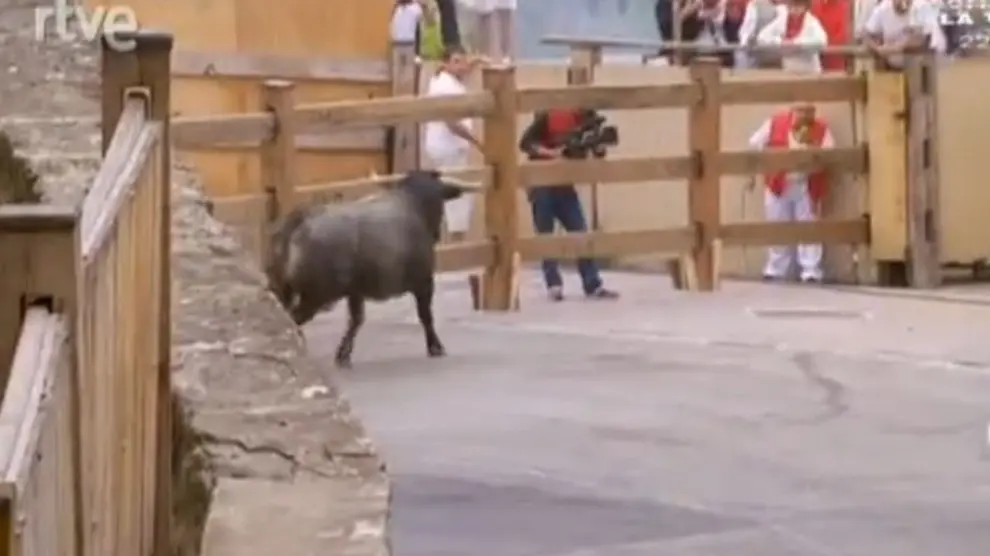 El toro que ha regresado a los corrales de Santo Domingo