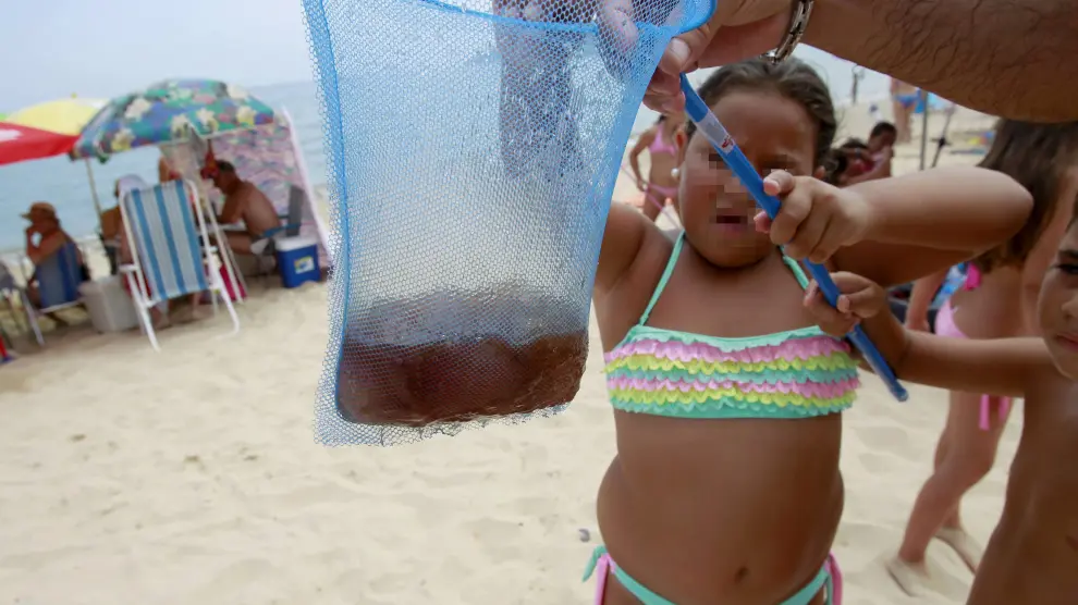 Varias personas enseñan en una red las medusas recogidas de la playa de Getares en Algeciras