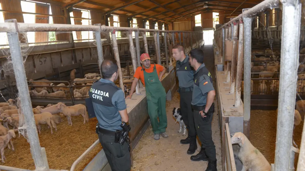 El grupo ROCA de la Guardia Civil, encargado de estos delitos, en el Bajo Aragón