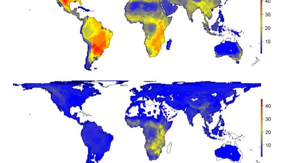 El primer mapa muestra la diversidad natural de los grandes mamíferos mientras que el segundo mapa muestra su diversidad actual.