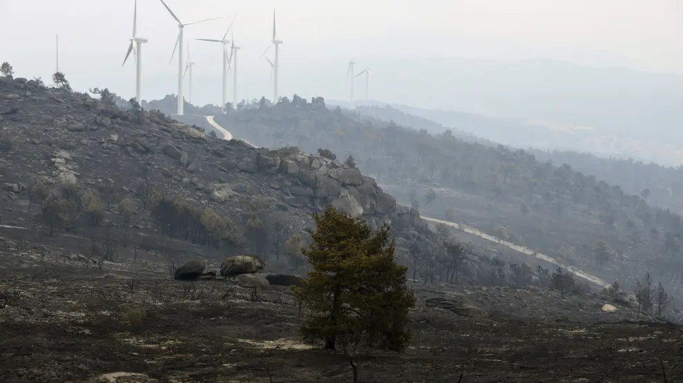 Vista de la superficie calcinada en el incendio forestal iniciado este jueves en Cualedro.