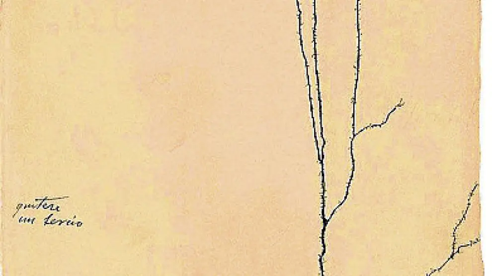Dibujo de Ramón y Cajal.
