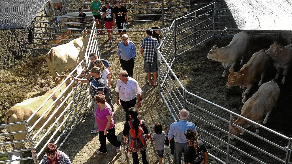 Los visitantes de la Expoferia de Sobrarbe recorren las exposiciones de ganado.