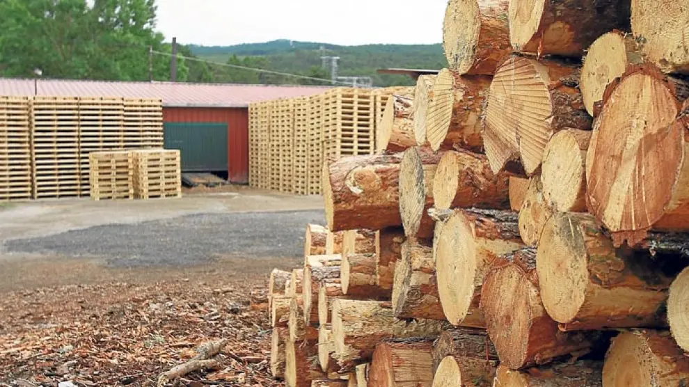 La venta de madera lleva dos años de crecimiento gracias a la biomasa y a la industria del tablero.